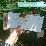کارت عروسی seven-55