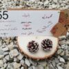 کارت عروسی سون 55