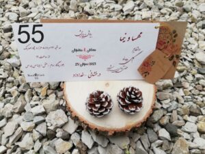 کارت عروسی سون 55